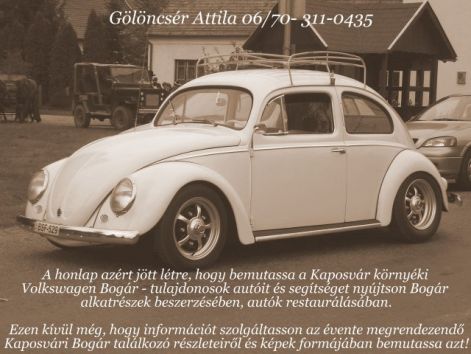 goreny_autoja.jpg